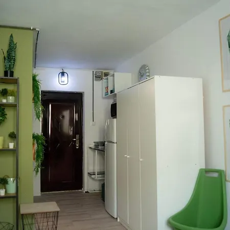 Jungle & Orange Box - - Apartment