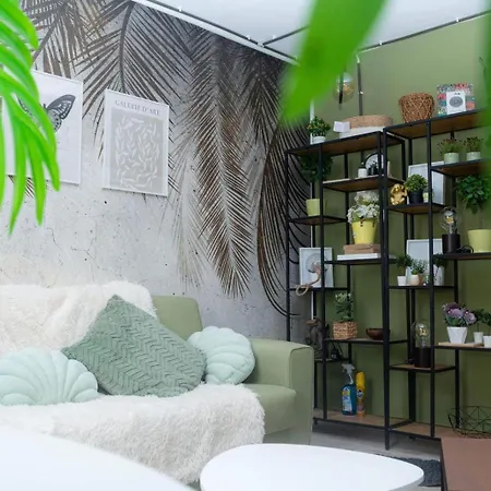 Apartment Jungle & Orange Box - - *