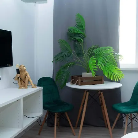 Jungle & Orange Box - - *
