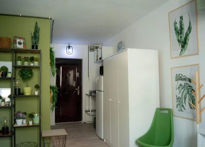 Jungle & Orange Box - - Apartamento