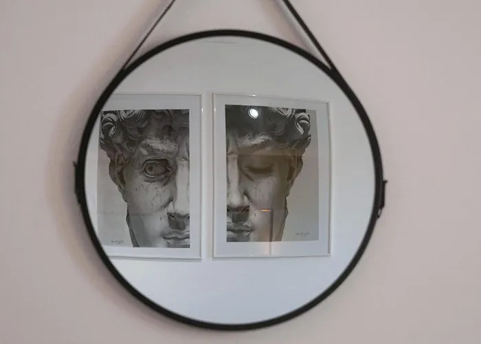 Jungle & Orange Box - - Apartamento