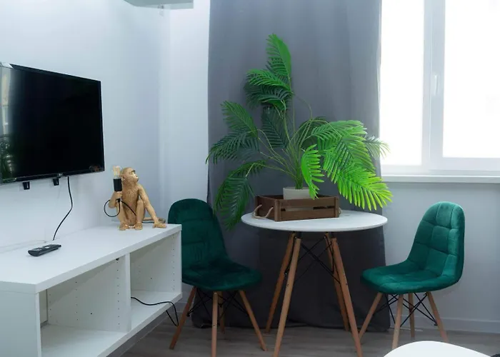 Jungle & Orange Box - - *